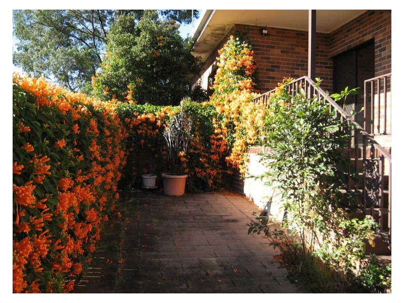 2/123 Wallace Street, Nowra NSW 2541