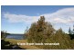 44 Watersedge Avenue, Basin View NSW 2540