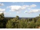 4008 Braidwood Road, Sassafras NSW 2622