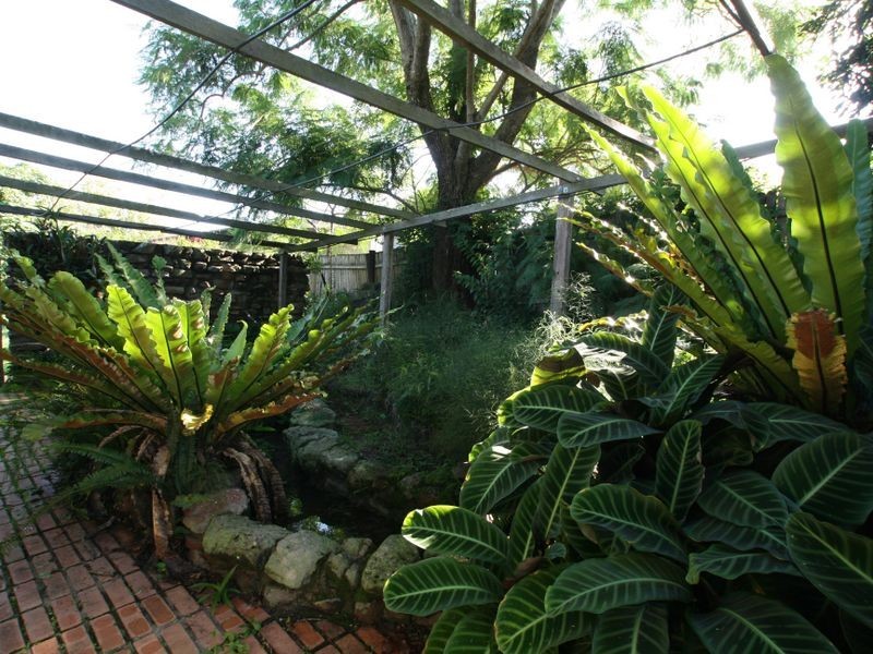 58 Birriley Street, Bomaderry NSW 2541