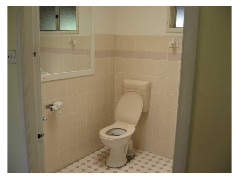 2 Hume St, Greenwell Point NSW 2540