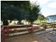 22 Osterley Avenue, Orient Point NSW 2540