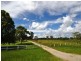 188 Waterford – Tamborine Road, Waterford QLD 4133