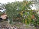 115 Ewing Road, Woodridge QLD 4114