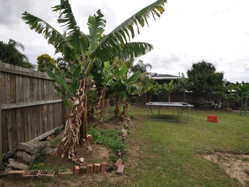 51 Macarthur  Crescent, Slacks Creek QLD 4127