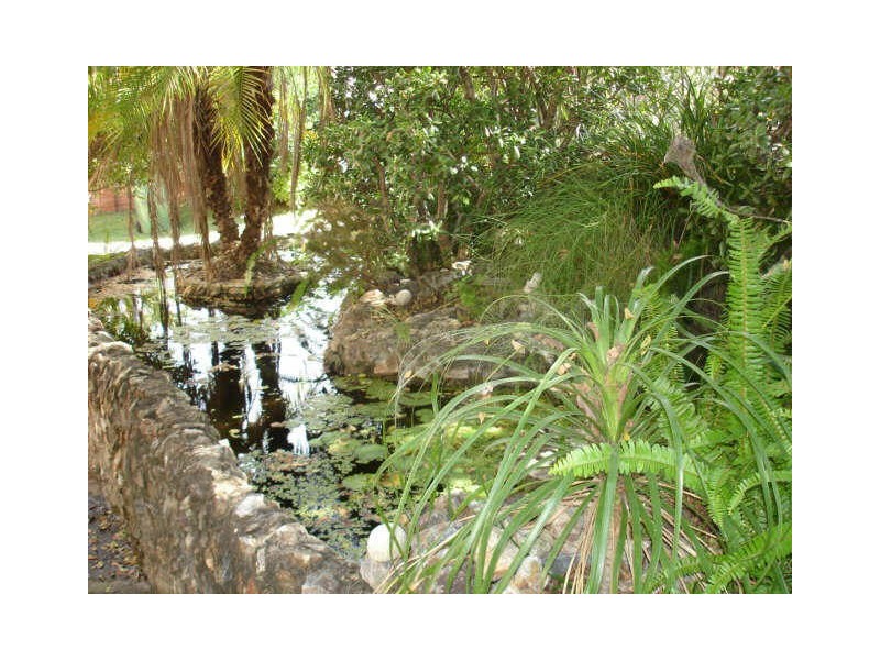 59 Roseash Street, Logan Central QLD 4114