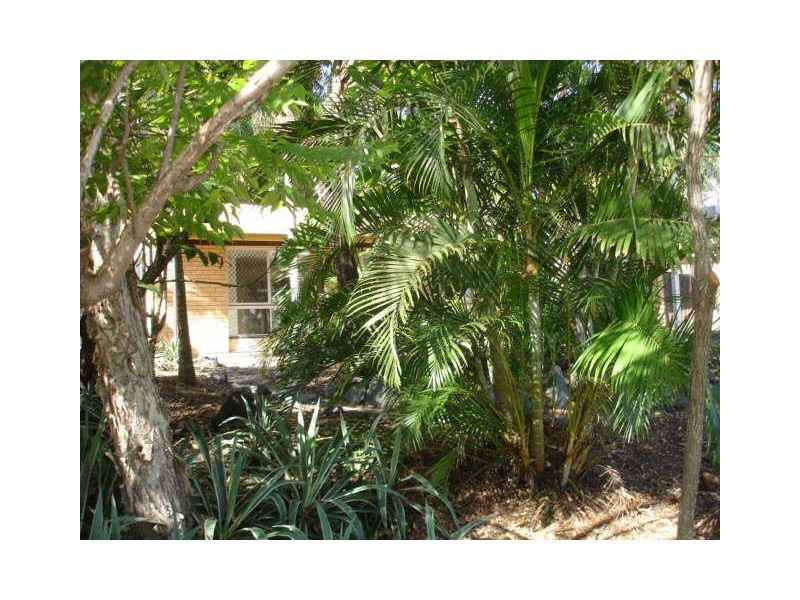 25 Gazania Street, Kingston QLD 4114