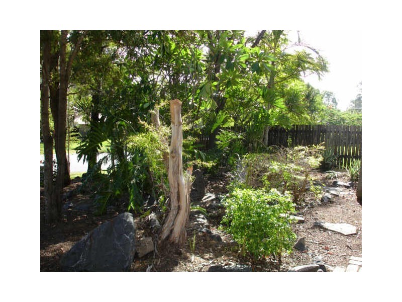 25 Gazania Street, Kingston QLD 4114