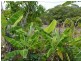 68 George Street, Toogoolawah QLD 4313
