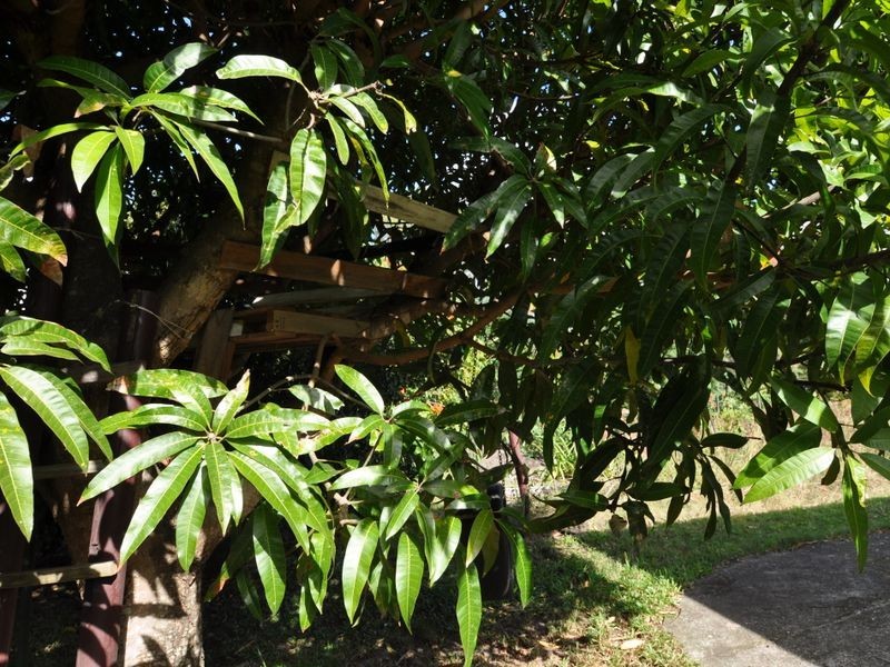 90-92 Queens Rd, Slacks Creek QLD 4127