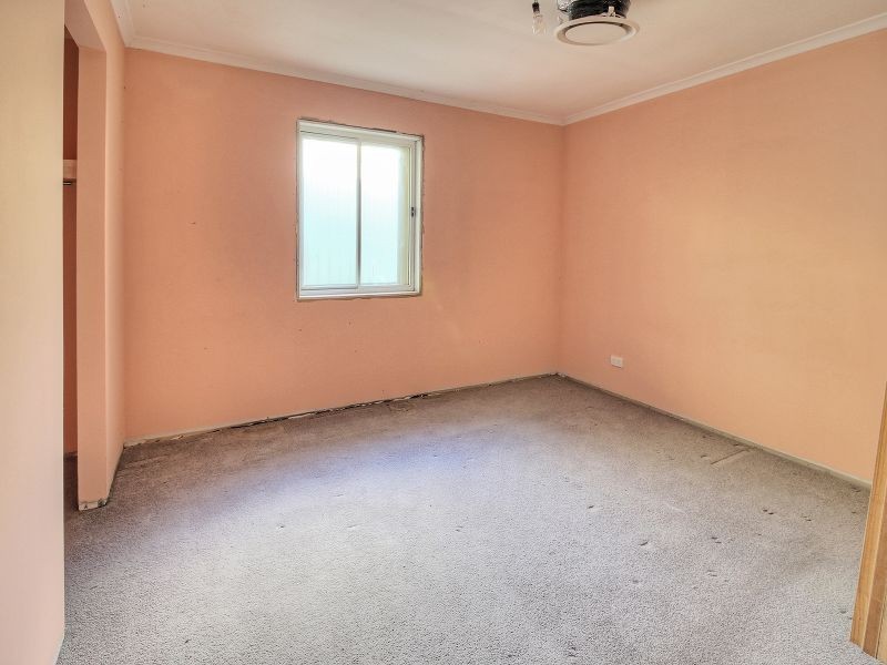 19 Gazania Street, Kingston QLD 4114
