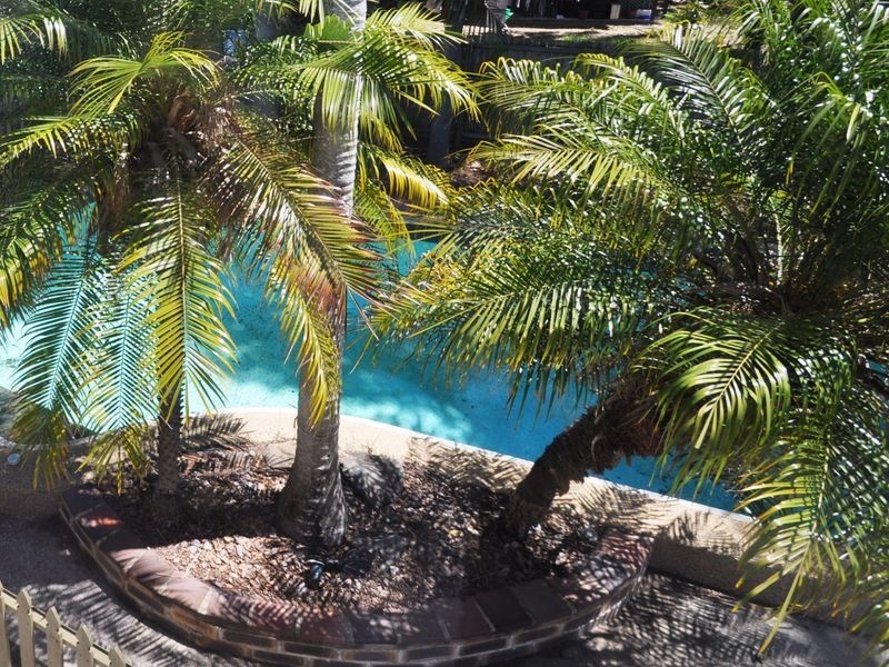 10 Fawkner St, Slacks Creek QLD 4127