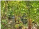 146 Ewing Road, Woodridge QLD 4114