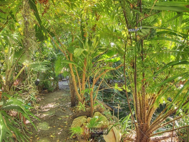 146 Ewing Road, Woodridge QLD 4114