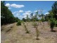 Beenleigh QLD 4207