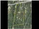 132-146 Hotz Road, Logan Village QLD 4207