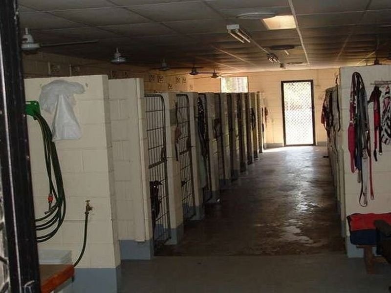 42 Bayes Road, Logan Reserve QLD 4133