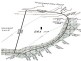 Lot 1 Seidler Street, Logan Reserve QLD 4133