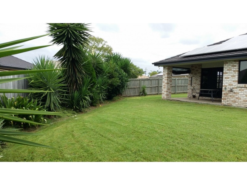 51 Dornoch Crescent, Raceview QLD 4305
