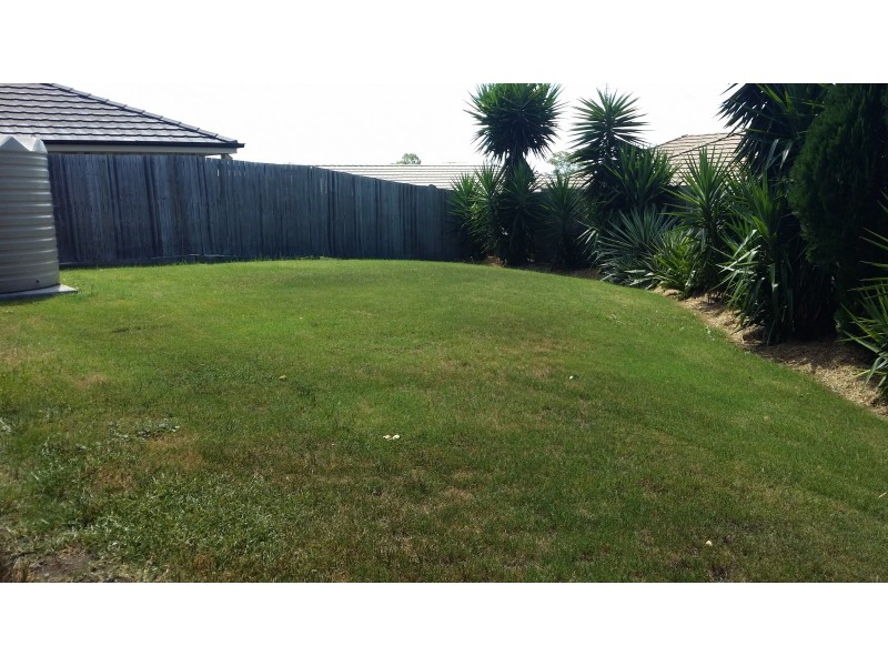 51 Dornoch Crescent, Raceview QLD 4305