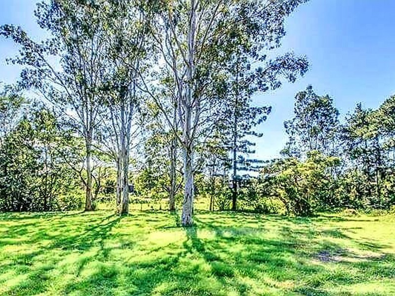 120 Springlands Drive, Slacks Creek QLD 4127