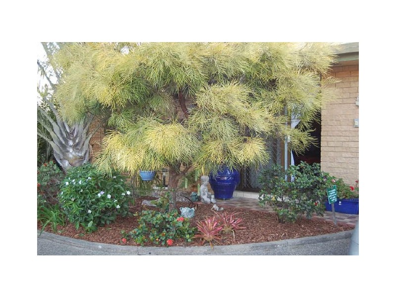 Loganlea QLD 4131