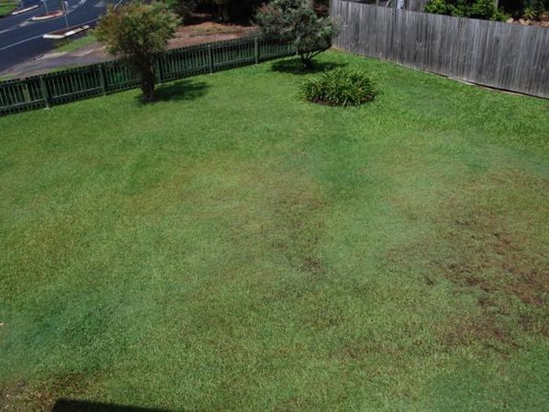 69 Mayes Avenue, Logan Central QLD 4114