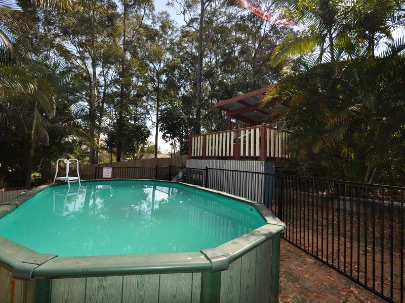 31 Tecoma Street, Kingston QLD 4114