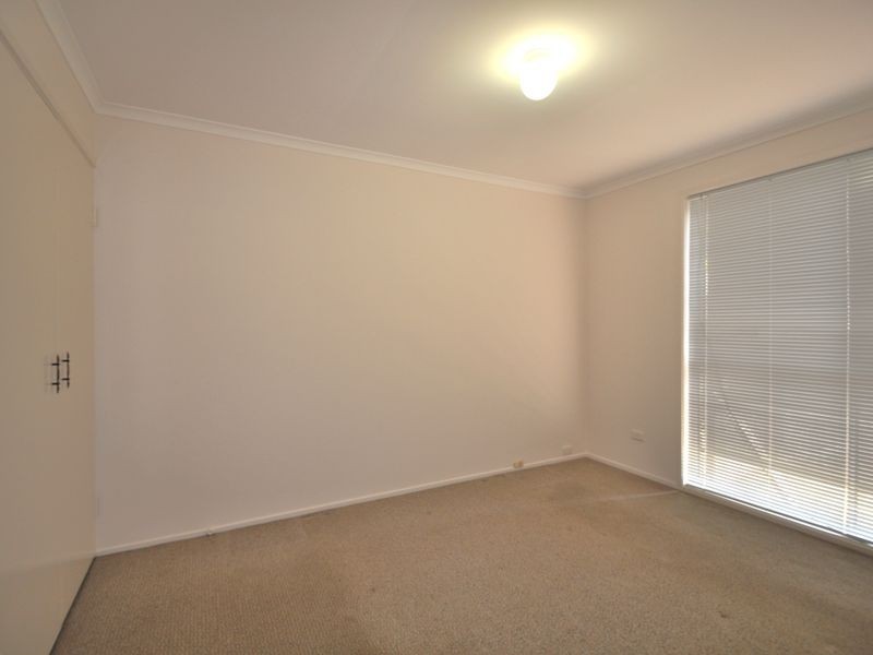 81 Anchusa Street, Kingston QLD 4114