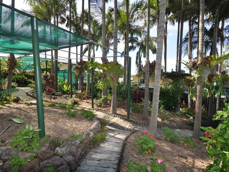 16 Laughlin Street, Kingston QLD 4114