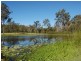 52 Sungold Road, Chambers Flat QLD 4133