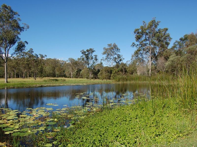 52 Sungold Road, Chambers Flat QLD 4133