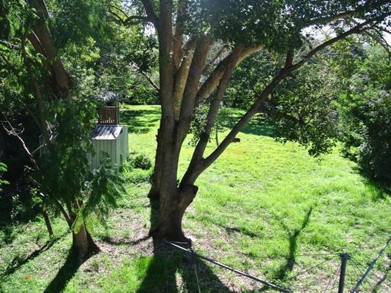 13 Laughlin Street, Kingston QLD 4114