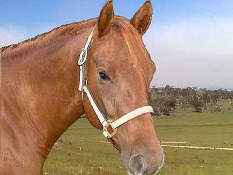 Lot 5 Hilltop Road, East Jindabyne NSW 2627