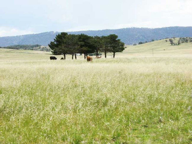 644 Rockwell Rd, Berridale NSW 2628