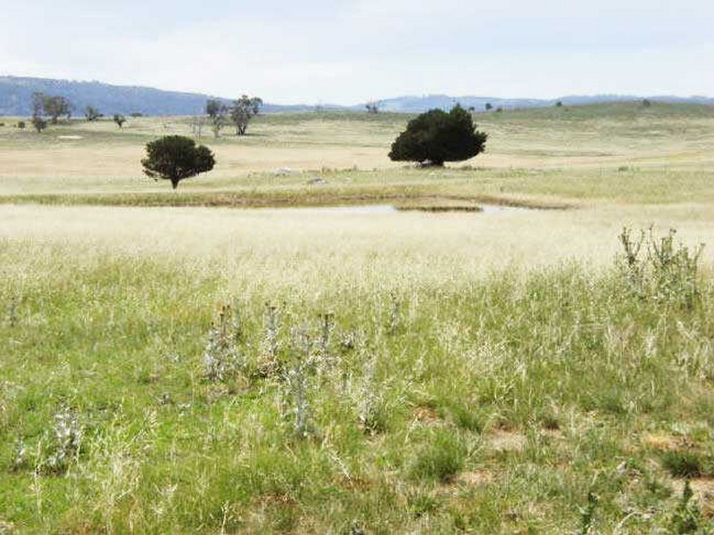 644 Rockwell Rd, Berridale NSW 2628