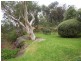Killara NSW 2071