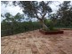 Killara NSW 2071