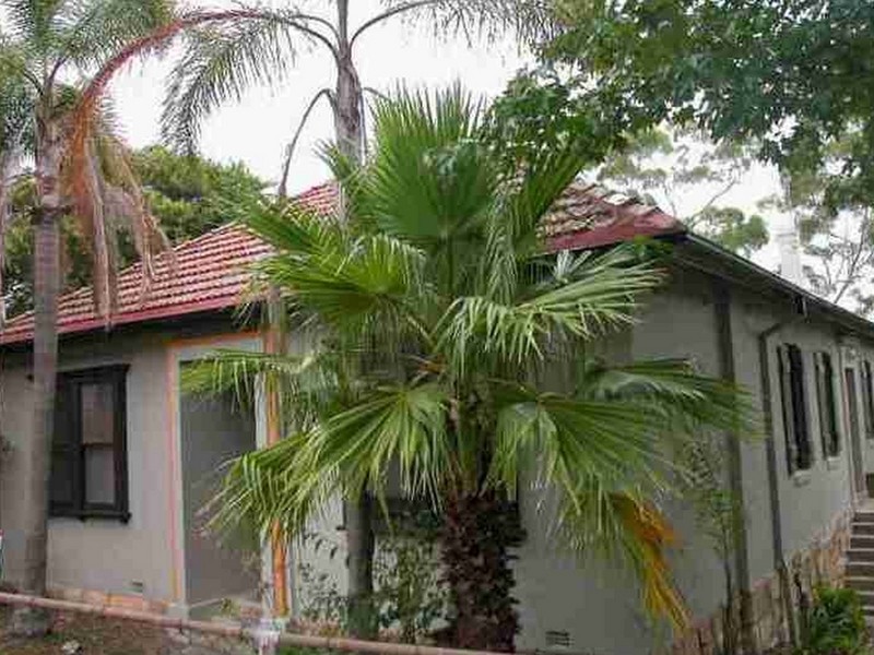 5 Hill Street, Roseville NSW 2069