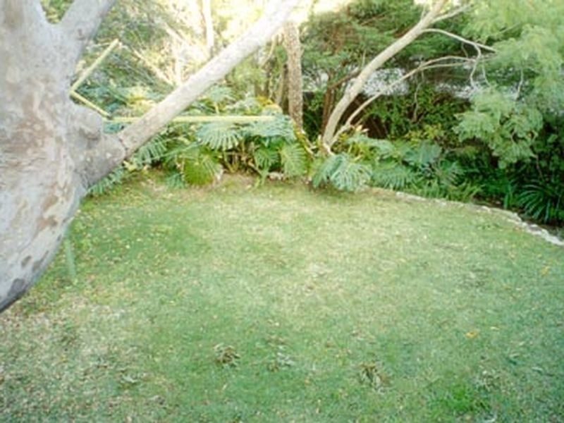 74 Shirley Road, Roseville NSW 2069