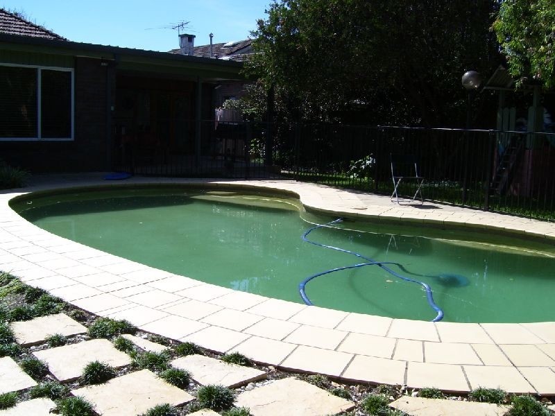 41 Addison Avenue, Roseville NSW 2069