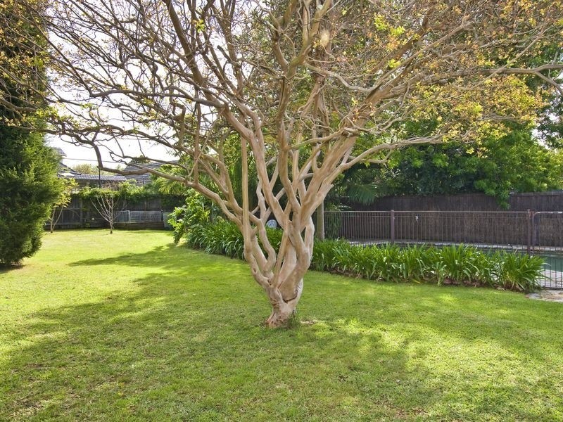 8 Gerald Avenue, Roseville NSW 2069