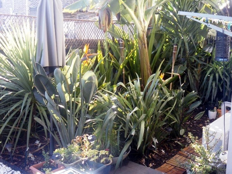 19/23 Thompson Close, West Pennant Hills NSW 2125