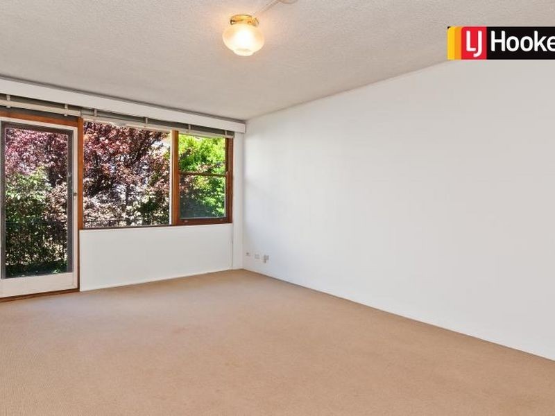 3/8 Webbs Avenue, Ashfield NSW 2131