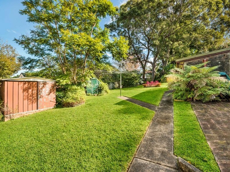 17 Thomas Avenue, Roseville NSW 2069