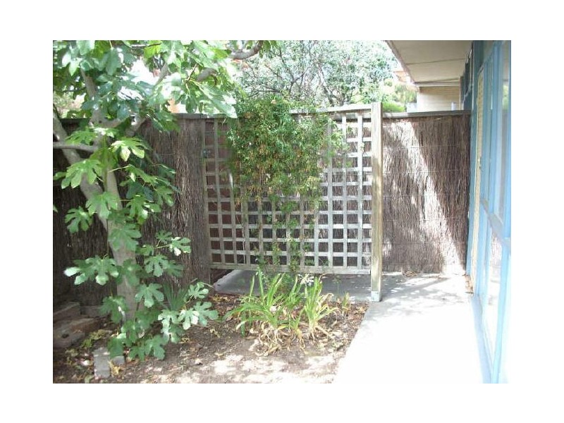 4/71 Farnham Road, Ashford SA 5035