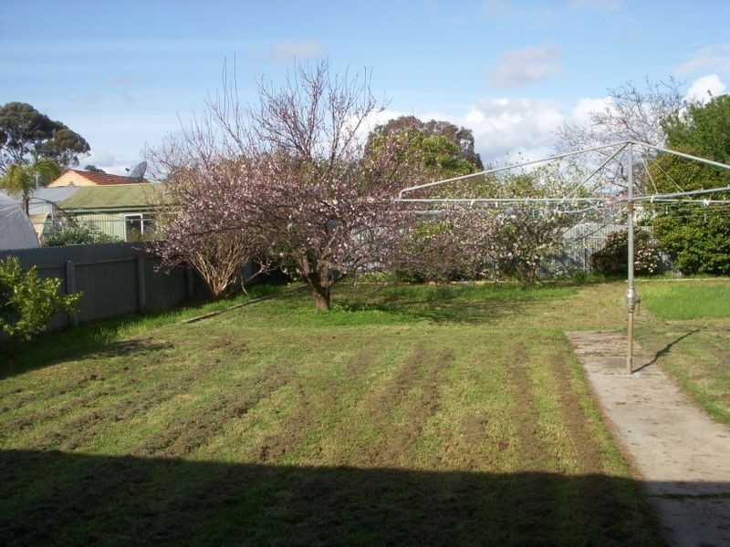 59 Clifford Street, Brooklyn Park SA 5032