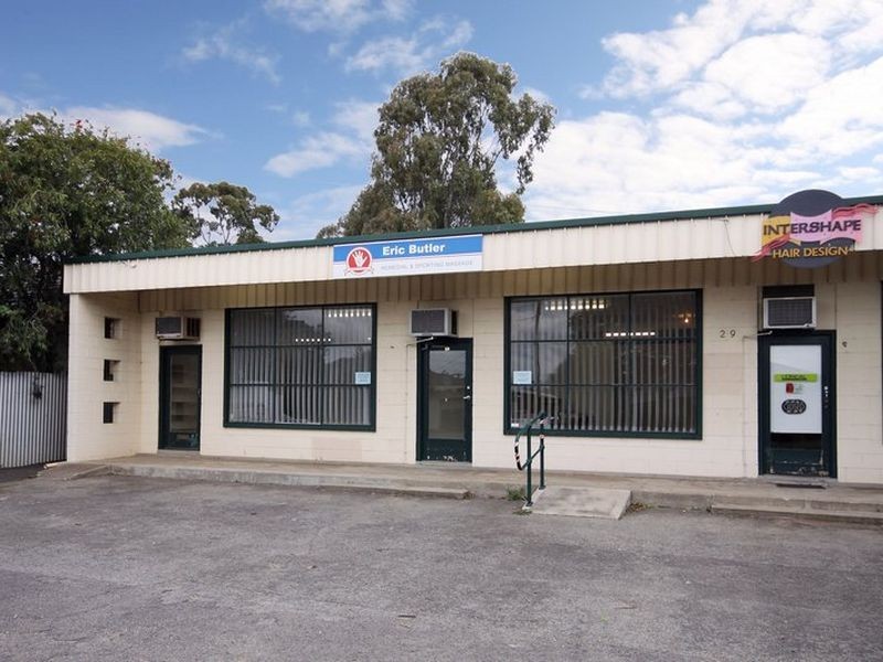 29 Quinlan Avenue, St Marys SA 5042