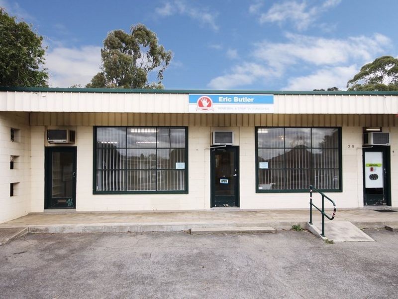 29 Quinlan Avenue, St Marys SA 5042