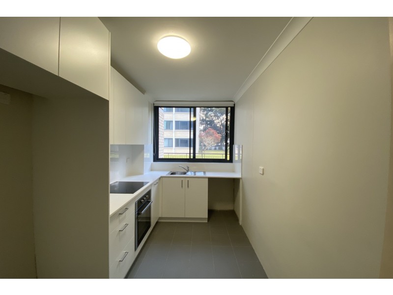 2/244 Alison Road, Randwick NSW 2031